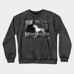 Unicorn Forest Crewneck Sweatshirt